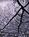 10 Crack Copyright Villayat Sunkmanitu